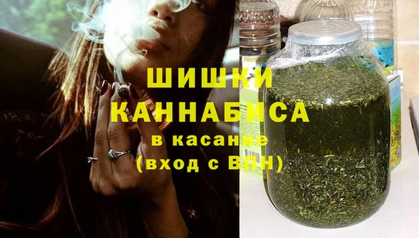 сатива Алзамай