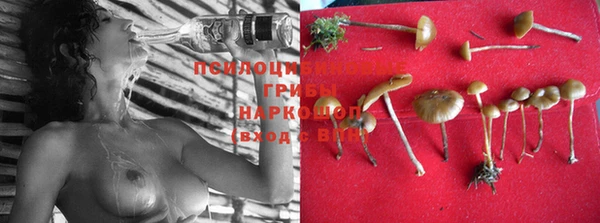 наркотики Абаза