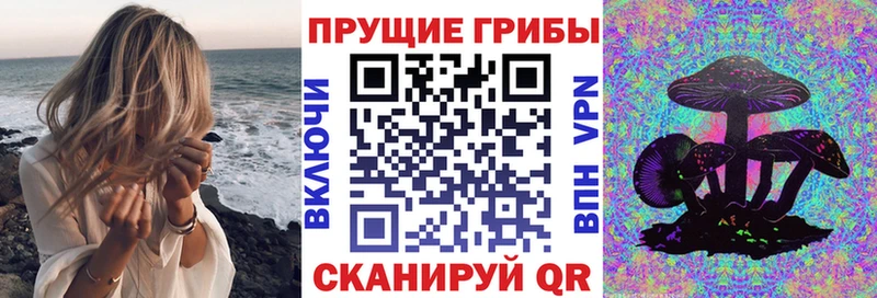 darknet клад мега маркетплейс Сафоново Галлюциногенные грибы прущие грибы
